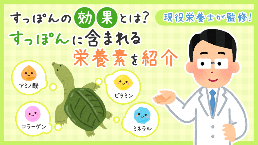 すっぽんの効果とは？すっぽんに含まれる栄養素を紹介