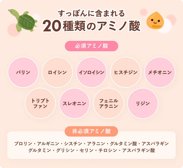 すっぽんに含まれる20種類のアミノ酸