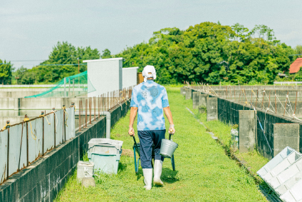 はがくれすっぽんの生産地の写真