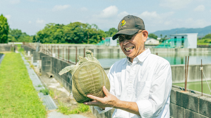 有名料亭も使う「はがくれすっぽん」とは？究極のすっぽんを育む飼育のこだわり