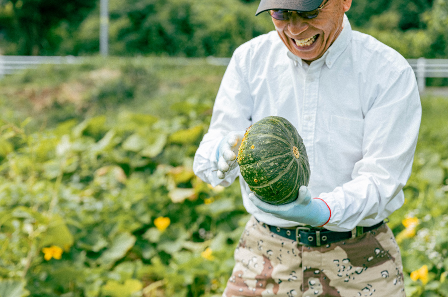 朝鵜会長がかぼちゃを収穫している様子