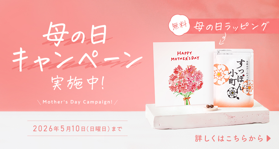 母の日キャンペーン実施中！すっぽん小町 無料 母の日ラッピング 2026年5月10日（日曜日）まで