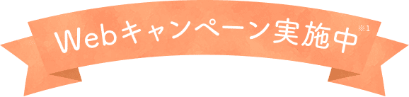 Webキャンペーン実施中※1
