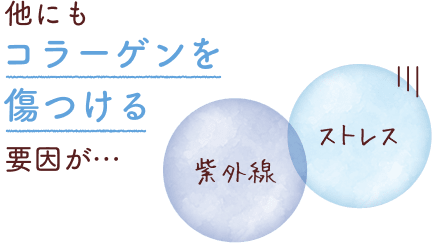 他にもコラーゲンを傷つける原因が・・・紫外線・ストレス
