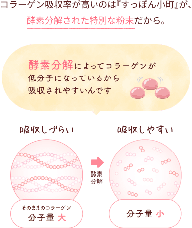 コラーゲン吸収率が高いのは『すっぽん小町』が、酵素分解された特別な粉末だから。酵素分解によってコラーゲンが低分子になっているから吸収されやすいんです