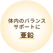 体内のバランスサポートに 亜鉛