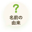 名前の由来