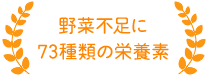 野菜不足に73種類の栄養素