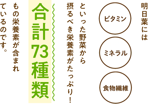 明日葉にはビタミン ミネラル 食物繊維といった野菜から 摂るべき栄養素がたっぷり！合計73種類もの栄養素が含まれ ているのです。  