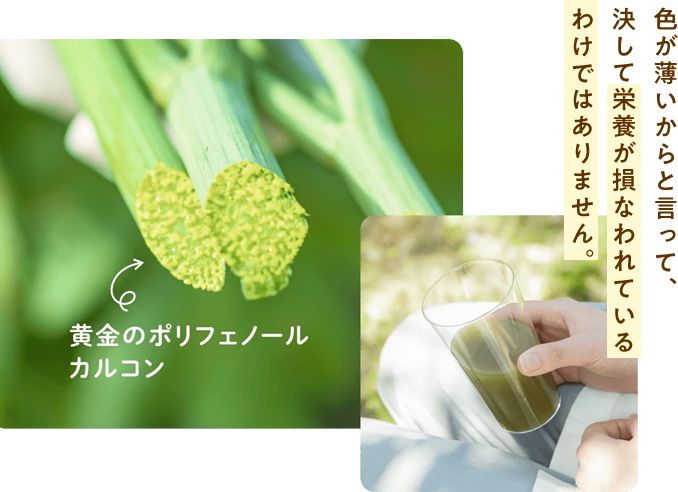 色が薄いからと言って、決して栄養が損なわれているわけではありません。