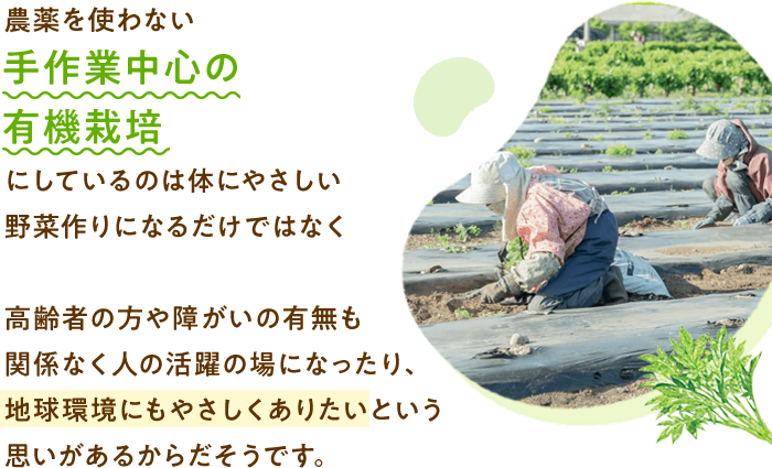 農薬を使わない手作業中心の有機栽培にしているのは体にやさしい野菜作りになるだけではなく高齢者の方や障がいの有無も関係なく人の活躍の場になったり、地球環境にもやさしくありたいという思いがあるからだそうです。