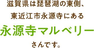 滋賀県は琵琶湖の東側、東近江市永源寺にある永源寺マルベリーさんです。