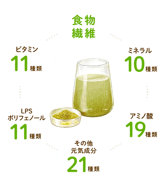 boto to deco 栄養素
