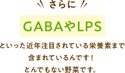 さらにGABAやLPSといった近年注目されている栄養素まで 含まれているんです！ とんでもない野菜です。