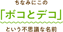 ちなみにこの「ボコとデコ」という不思議な名前