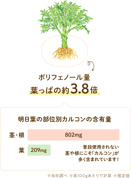 ポリフェノール量葉っぱの約3.8倍