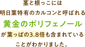 茎と根っこには明日葉特有のカルコンと呼ばれる黄金のポリフェノールが葉っぱの3.8倍も含まれていることがわかりました。