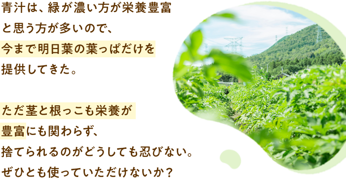 青汁は、緑が濃い方が栄養豊富と思う方が多いので、今まで明日葉の葉っぱだけを提供してきた。ただ茎と根っこも栄養が豊富にも関わらず、捨てられるのがどうしても忍びない。ぜひとも使っていただけないか？