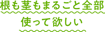根も茎もまるごと全部使って欲しい 