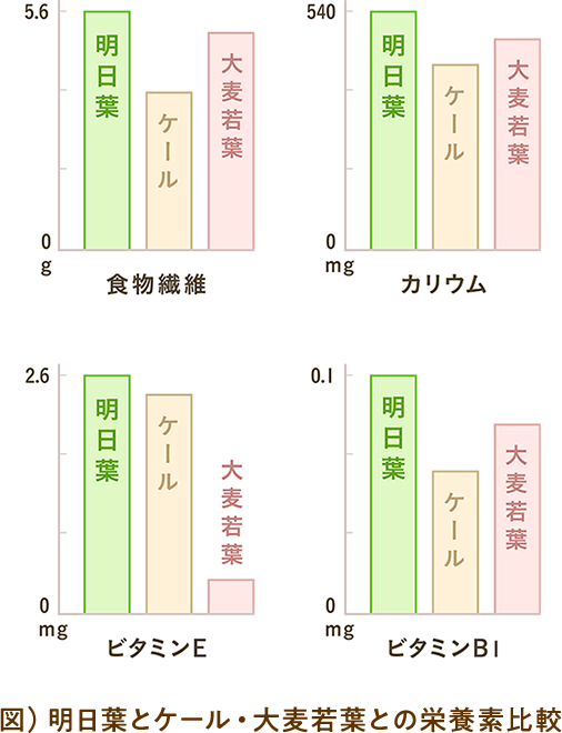 明日葉とケール・大麦若葉との栄養素比較