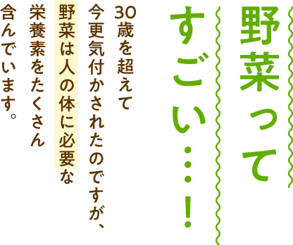 野菜ってすごい・・・！30歳を超えて今更気付かされたのですが、野菜は人の体に必要な栄養素をたくさん含んでいます。