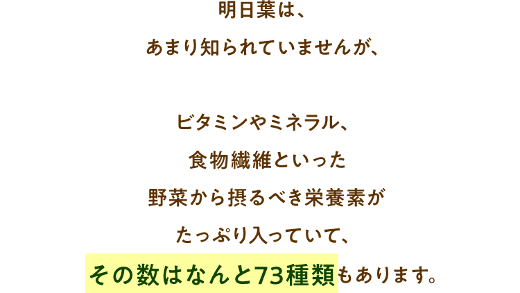 明日葉は、あまり知られていませんが、ビタミンやミネラル、食物繊維といった野菜から摂るべき栄養素がたっぷり入っていて、その数はなんと73種類もあります。