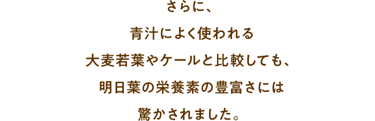 さらに、青汁によく使われる大麦若葉やケールと比較しても、明日葉の栄養素の豊富さには驚かされました。