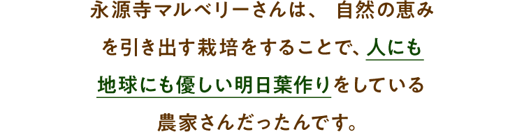永源寺マルベリーさんは、自然の恵みを引き出す栽培をすることで、人にも地球にも優しい明日葉作りをしている農家さんだったんです。