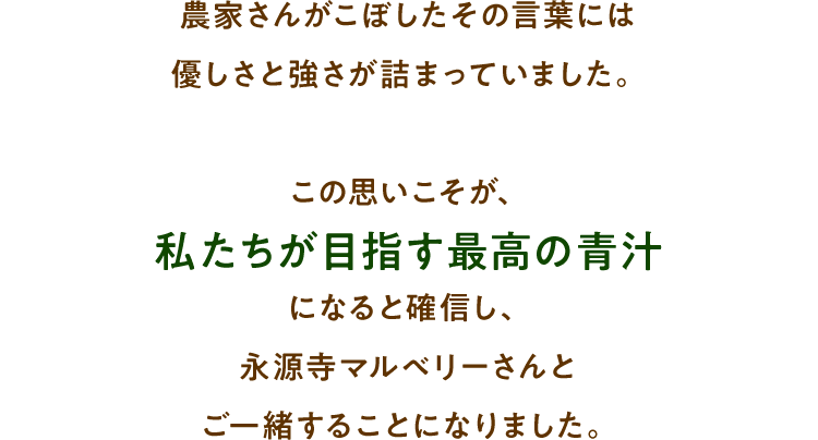 農家さんがこぼしたその言葉には優しさと強さが詰まっていました。この思いこそが、私たちが目指す最高の青汁になると確信し、永源寺マルベリーさんとご一緒することになりました。