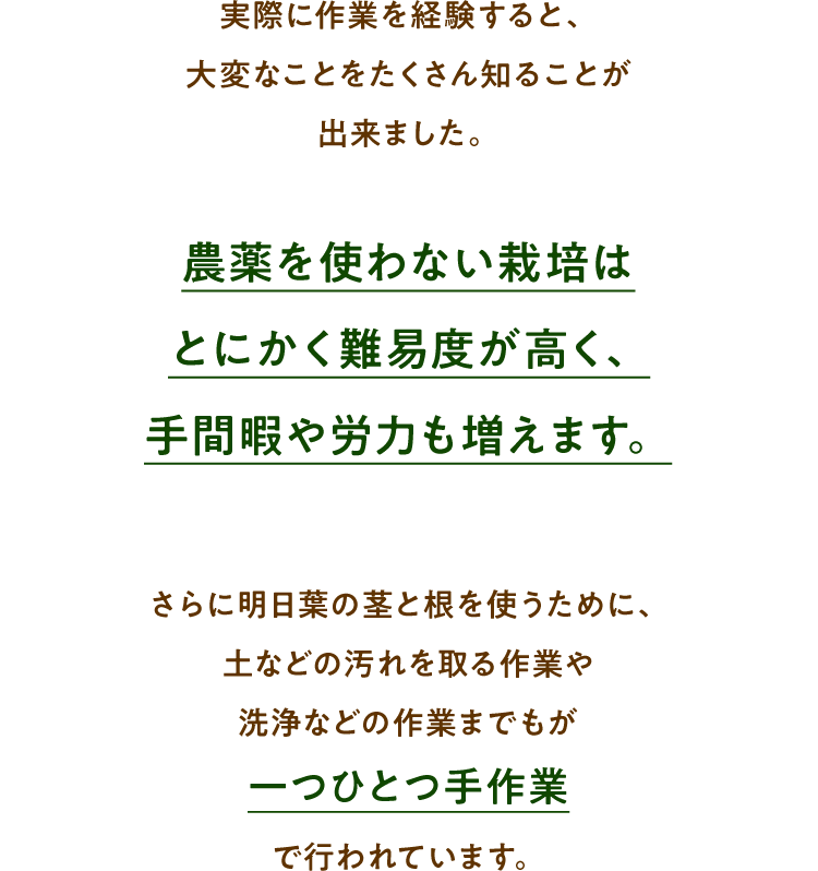 実際に作業を経験すると、大変なことをたくさん知ることが出来ました。農薬を使わない栽培はとにかく難易度が高く、手間暇や労力も増えます。さらに明日葉の茎と根を使うために、土などの汚れを取る作業や洗浄などの作業までもが一つひとつ手作業で行われています。