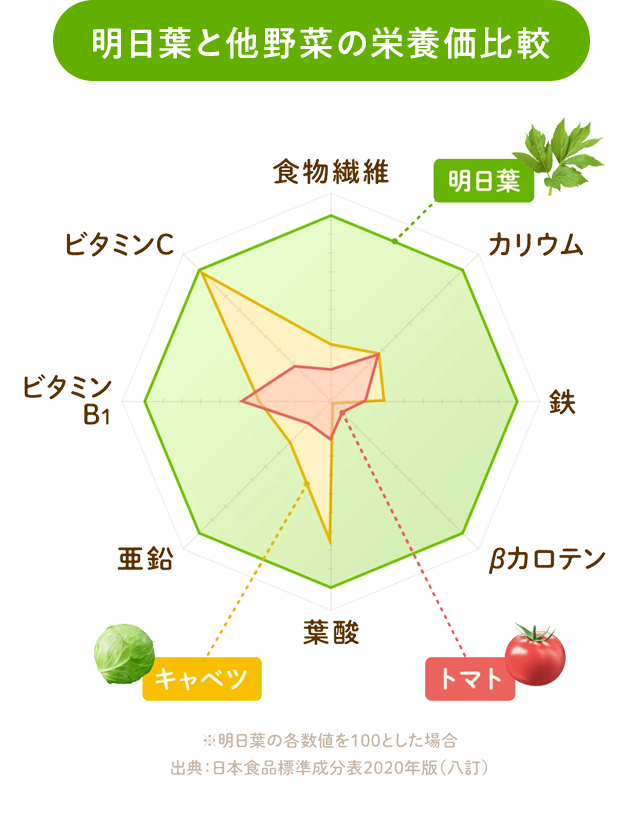 明日葉と他野菜の栄養価比較