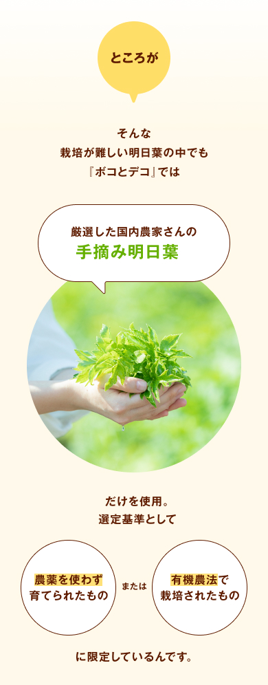 ところがそんな栽培が難しい明日葉の中でも『ボコとデコ』では厳選した国内農家さんの手摘み明日葉だけを使用。選定基準として農薬を使わず育てられたものまたは有機農法で栽培されたものに限定しているんです。