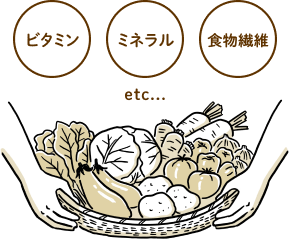ビタミン ミネラル 食物繊維 etc...