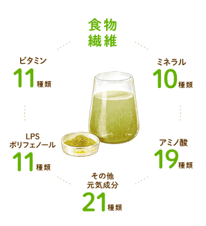 図)明日葉の含有栄養素 食物繊維 ミネラル10種類 アミノ酸19種類 その他元気成分21種類 LPSポリフェノール11種類 ビタミン11種類