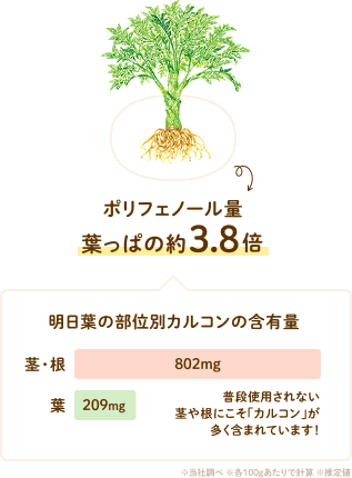 図)明日葉の葉に対する茎と根に含まれるポリフェノール量比較 ポリフェノール量葉っぱの約3.8倍 明日葉の部位別カルコンの含有量 茎・根802mg 葉209mg 普段使用されない茎や根にこそ「カルコン」が多く含まれています! ※当社調べ ※各100gあたりで計算 ※推定値