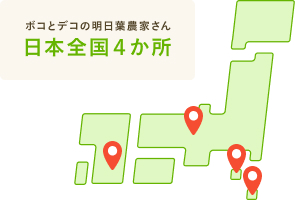 ボコとデコの明日葉農家さん日本全国４か所