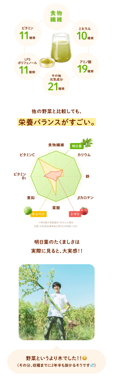 食物繊維 ミネラル10種類 アミノ酸19種類 その他元気成分21種類 LPSポリフェノール11種類 ビタミン11種類 他の野菜と比較しても、栄養バランスがすごい。 明日葉のたくましさは実際に見ると、大実感！！野菜というより木でした！！（その分、収穫までに２年半も掛かるそうです）
