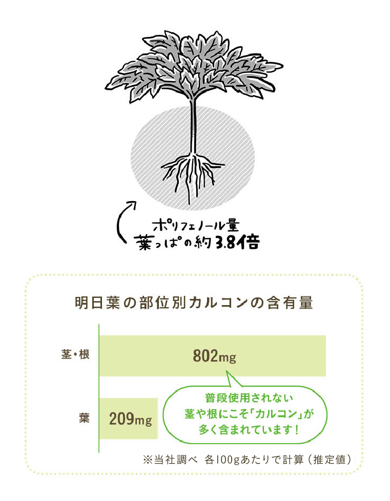 明日葉の部位別カルコンの含有量