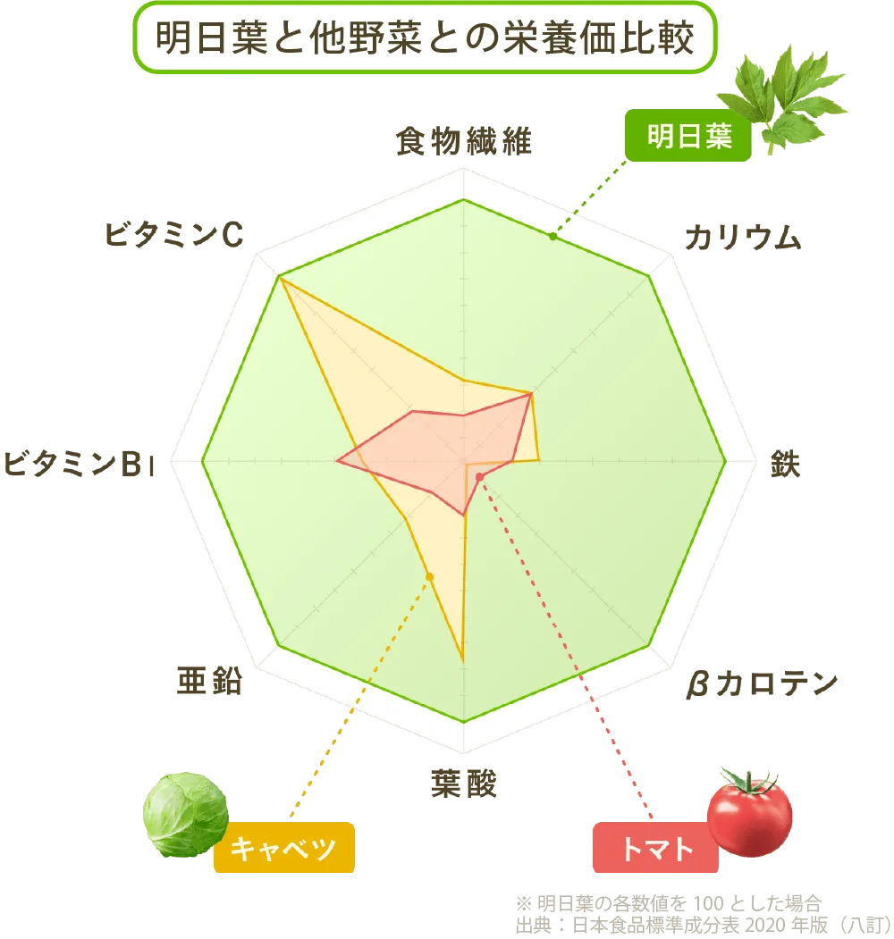 明日葉と他野菜との栄養価比較