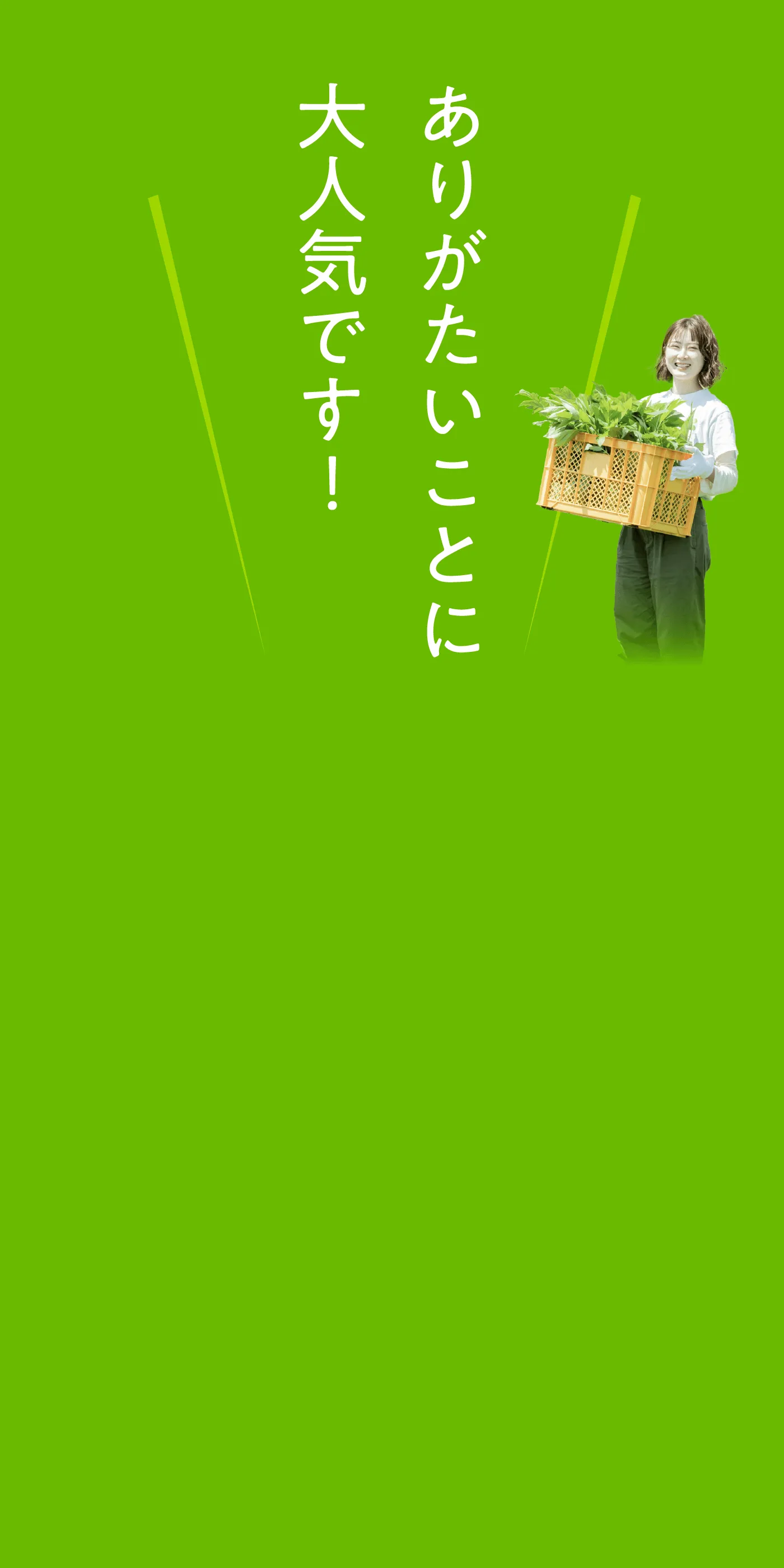 ありがたいことに大人気です！