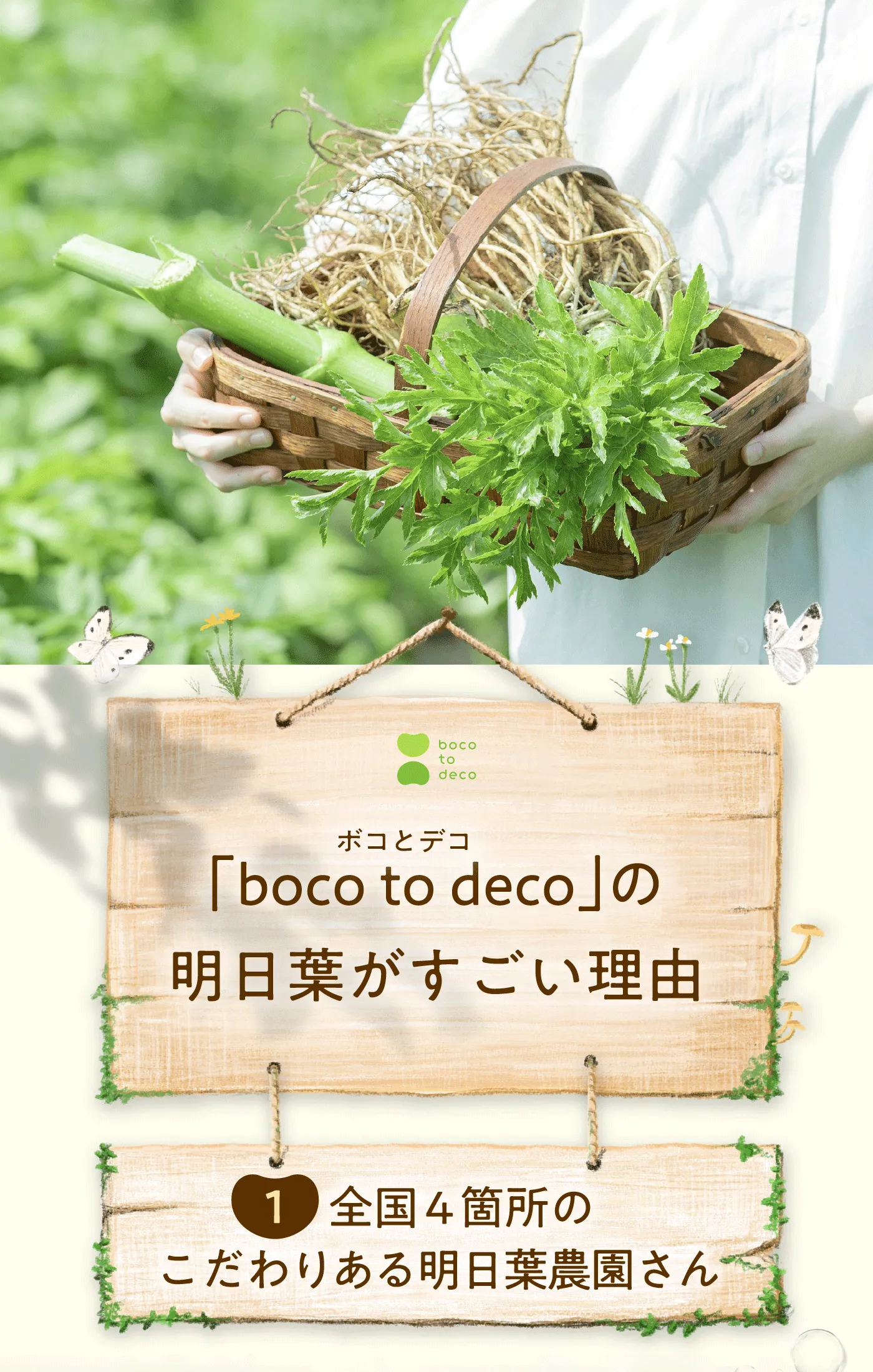 「boco to deco」の明日葉がすごい理由 | 1.全国4箇所のこだわりある明日葉農園さん