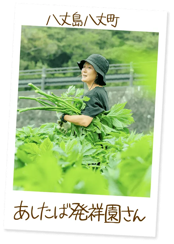 八丈島八丈町 あしたば発祥園さん
