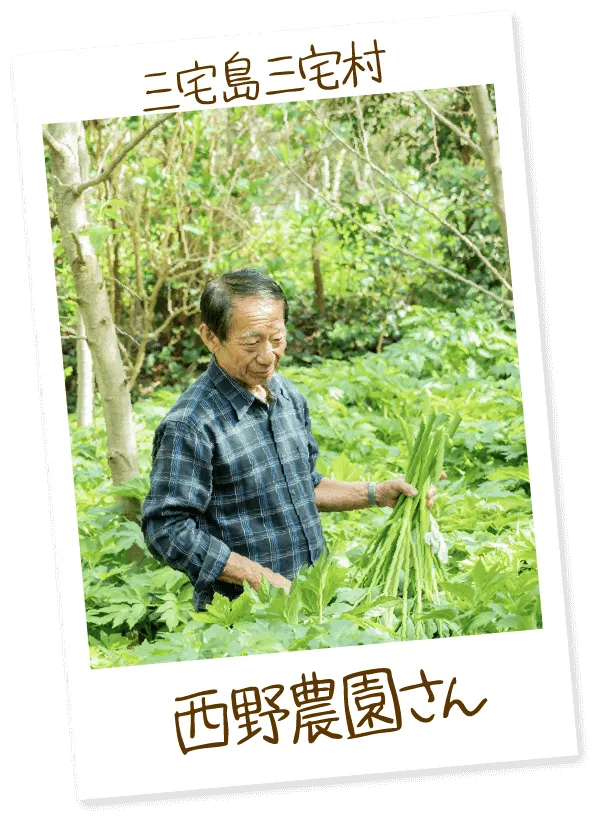 三宅島三宅村 西野農園さん