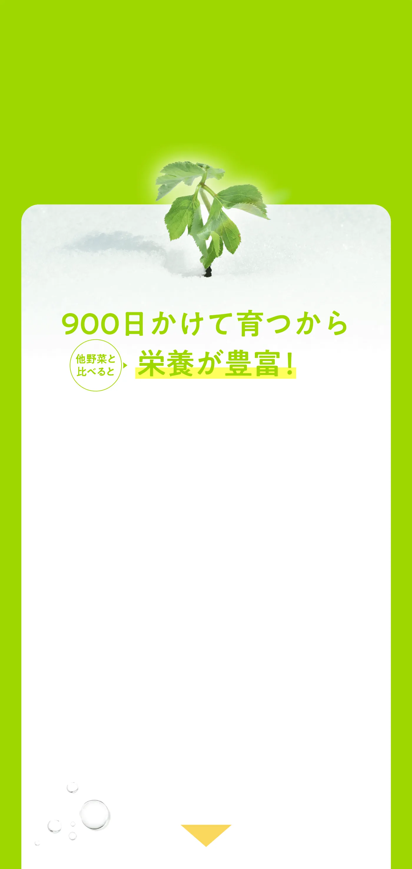 900日かけて育つ明日葉の栄養価が、キャベツやトマトより高いことを示すレーダーチャートの画像