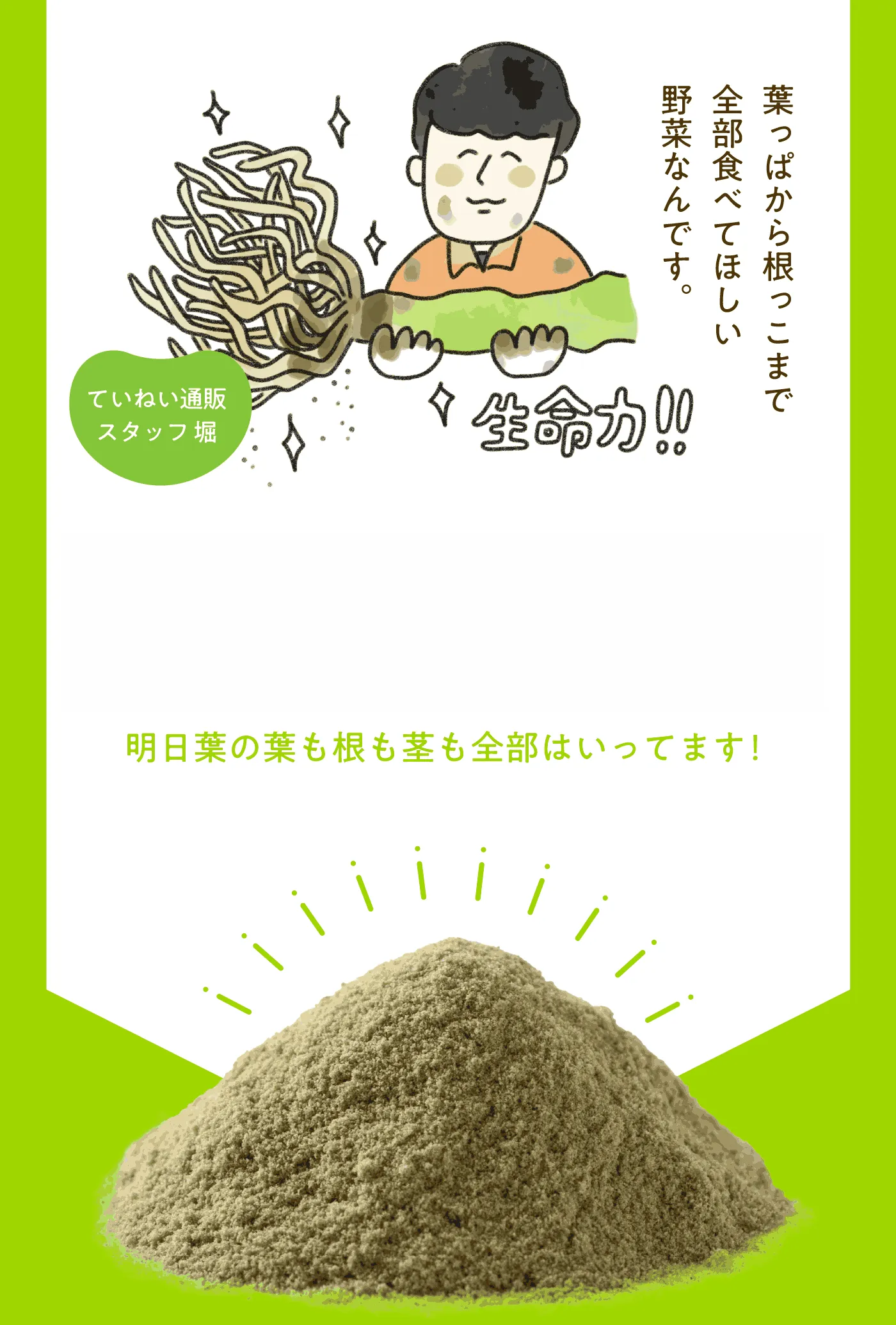 明日葉の葉や茎、根までまるごと使用して粉末にした商品の紹介画像