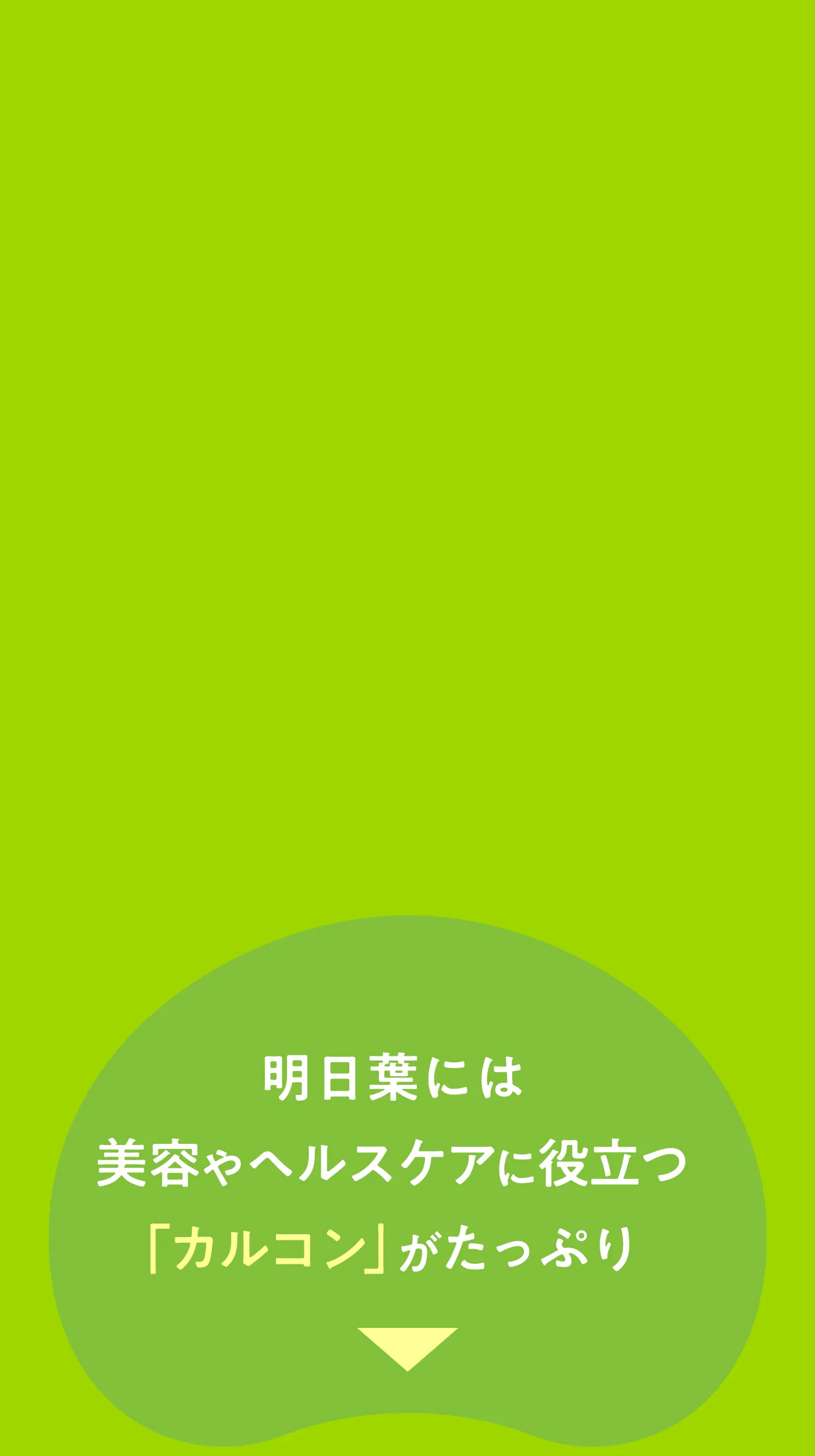 明日葉粉末のイラストとともに、食物繊維やビタミン、ミネラル、アミノ酸など多くの栄養成分が含まれることを示した説明画像