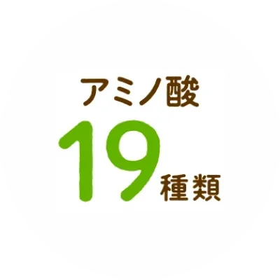 アミノ酸19種類
