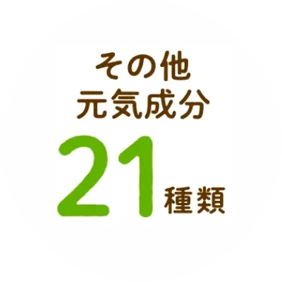 その他元気成分21種類