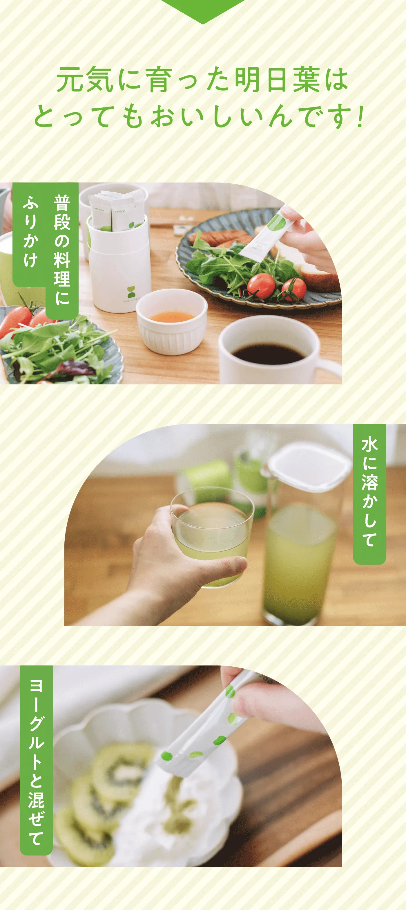 元気に育った明日葉はとってもおいしいんです！ | 普段の料理にふりかけ・水に溶かして・ヨーグルトと混ぜて