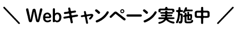 Web限定キャンペーン実施中！